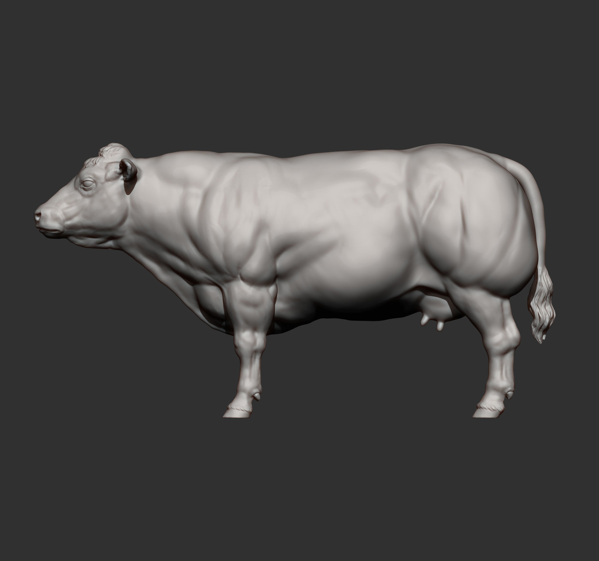 Belgian Blue Cow 3D print model_10