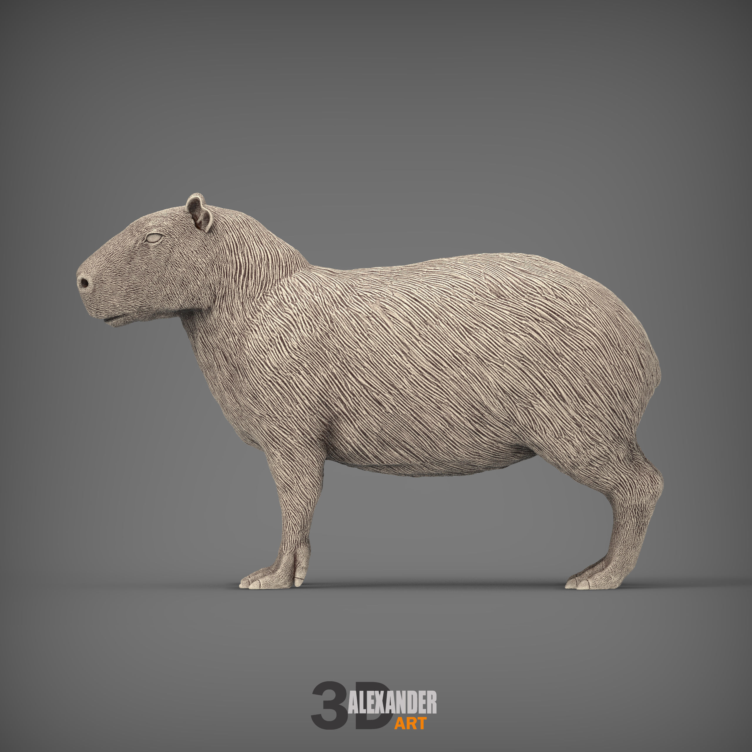 Capybara 3D print model_3