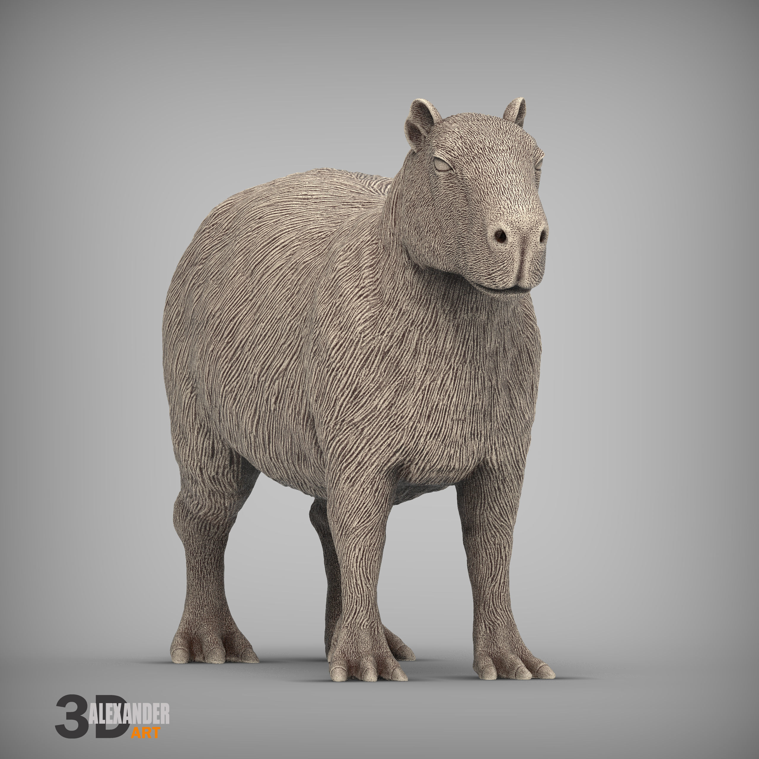 Capybara 3D print model_2