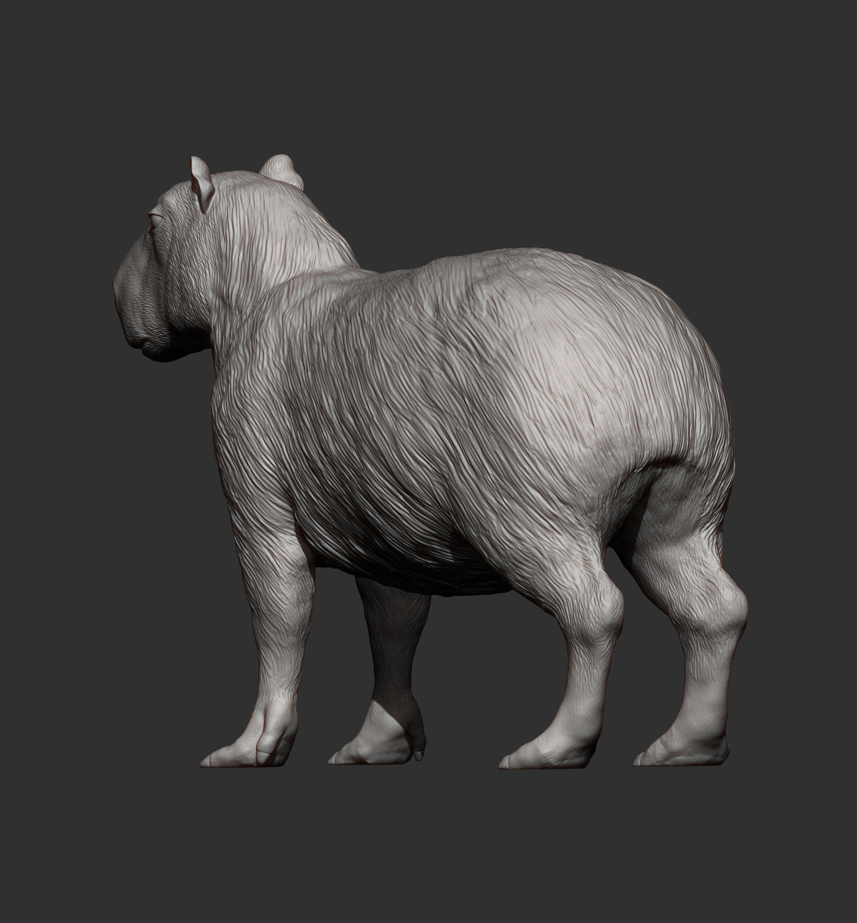 Capybara 3D print model_6