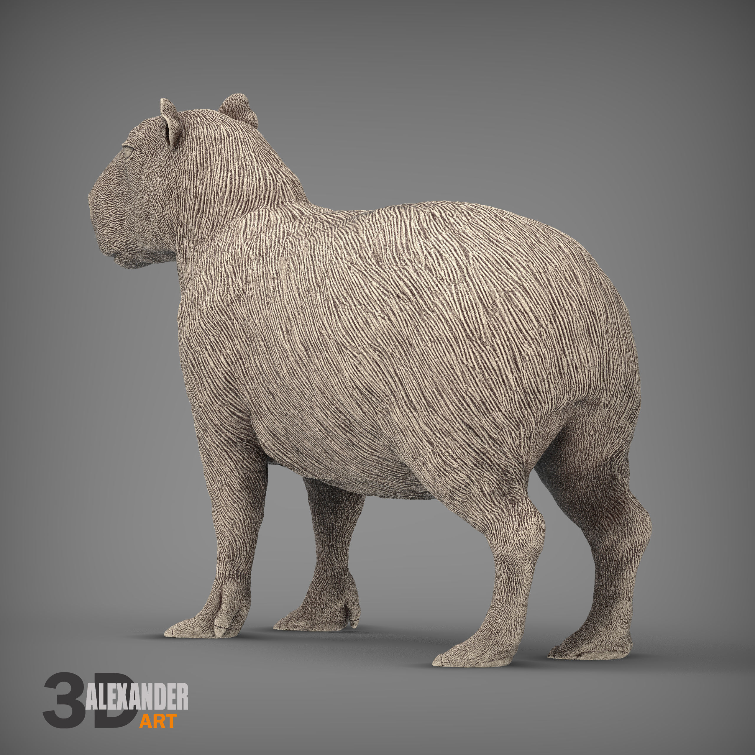 Capybara 3D print model_1