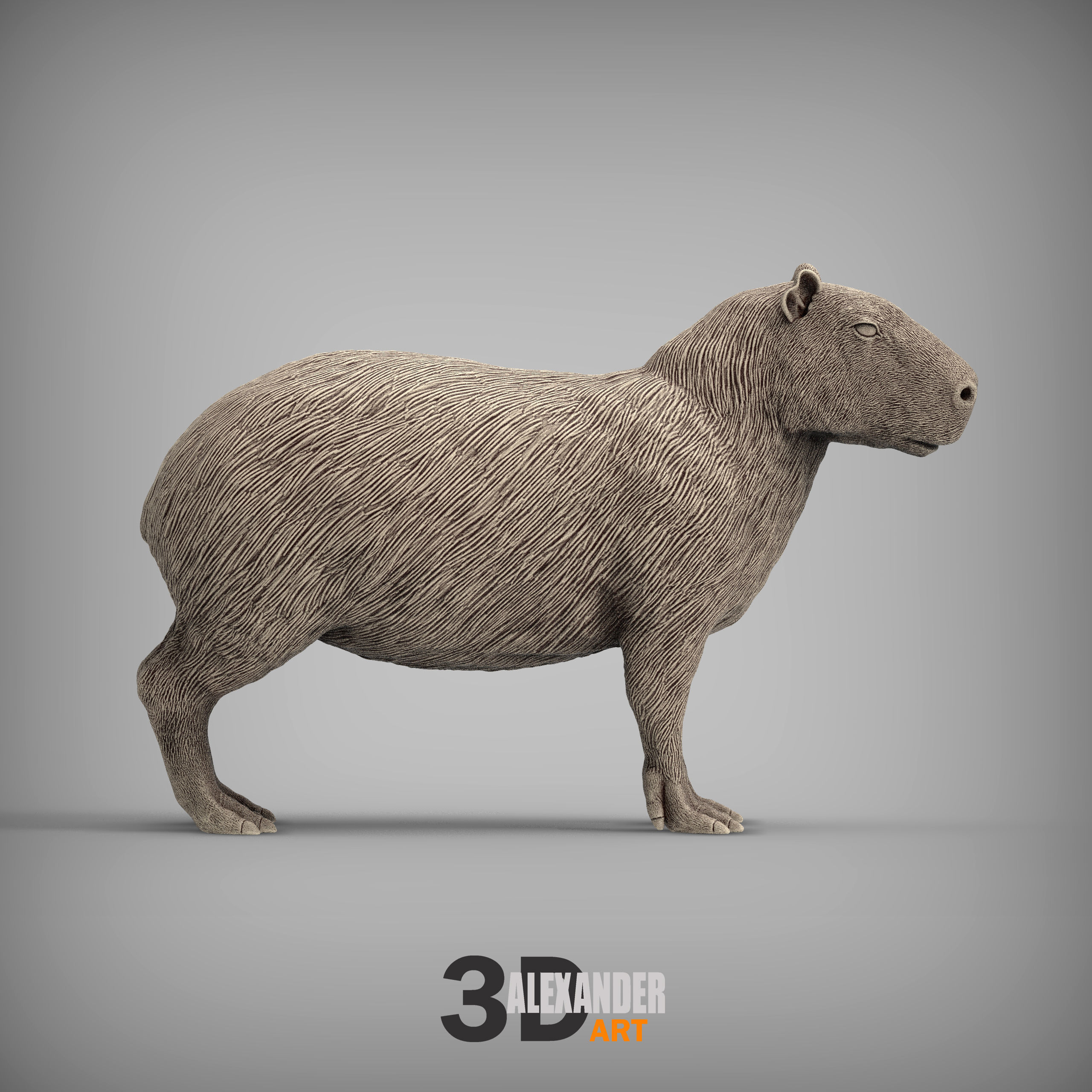 Capybara 3D print model_5