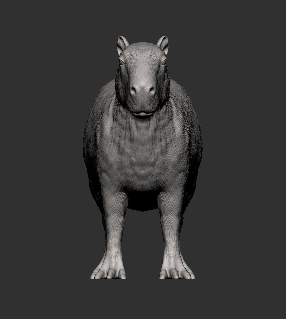 Capybara 3D print model_7
