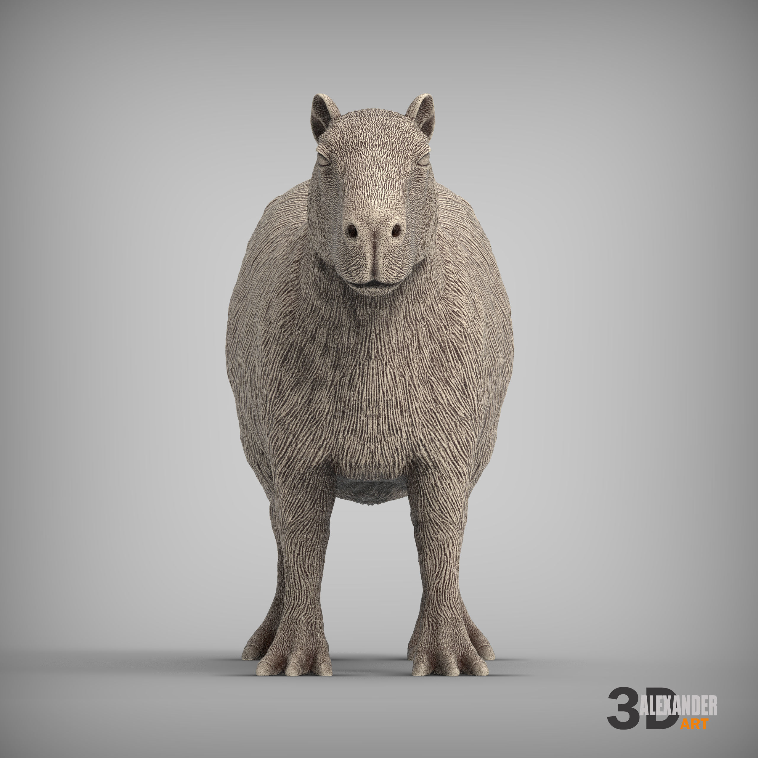 Capybara 3D print model_4