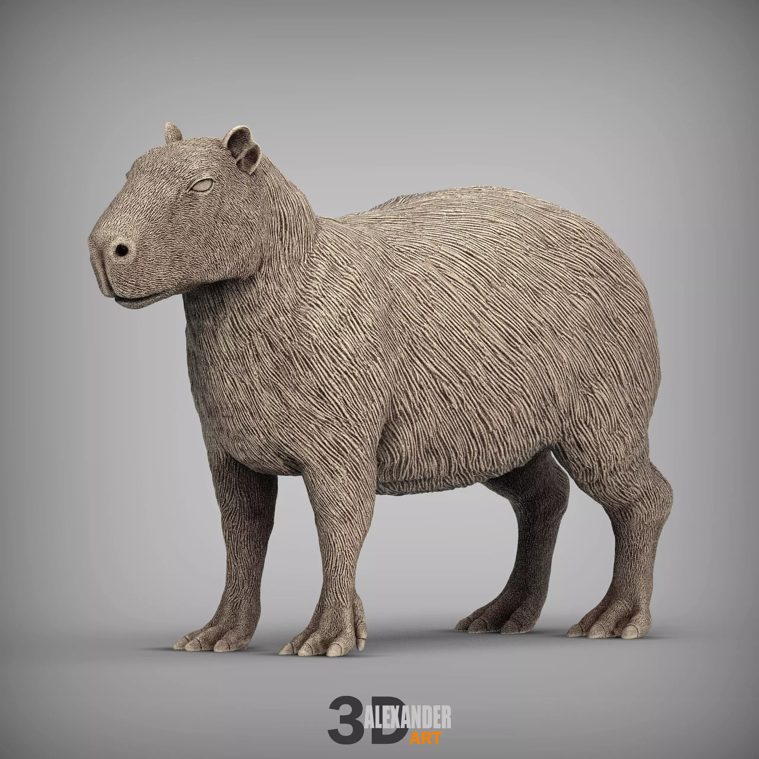 Capybara 3D print model_0