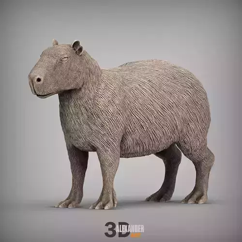 Capybara 3D print model