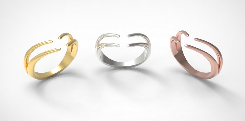 Minimal ring Ready for 3d printing 3dm stl 3D print model_17