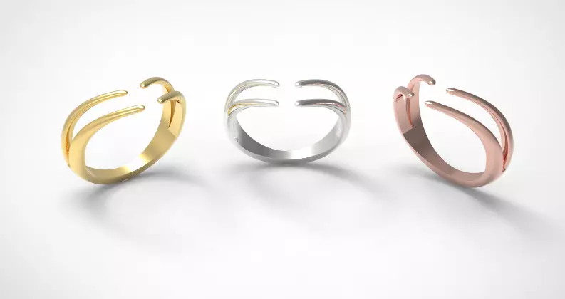 Minimal ring Ready for 3d printing 3dm stl 3D print model_0