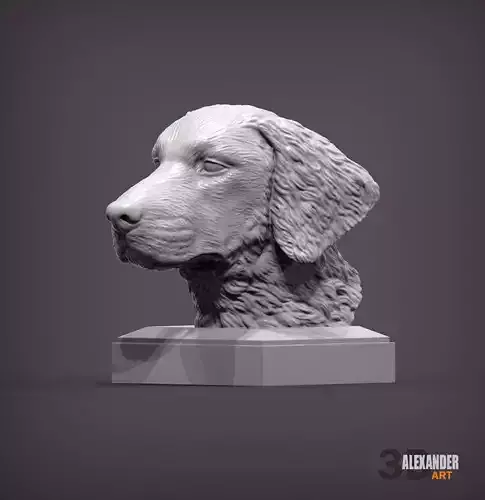 Curly Coated Retriever bust 3D print model