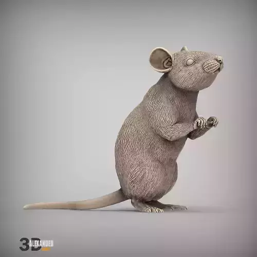 Mouse on hind legs 3D print model