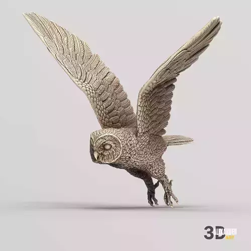 Short-eared owl takes flight 3D print model
