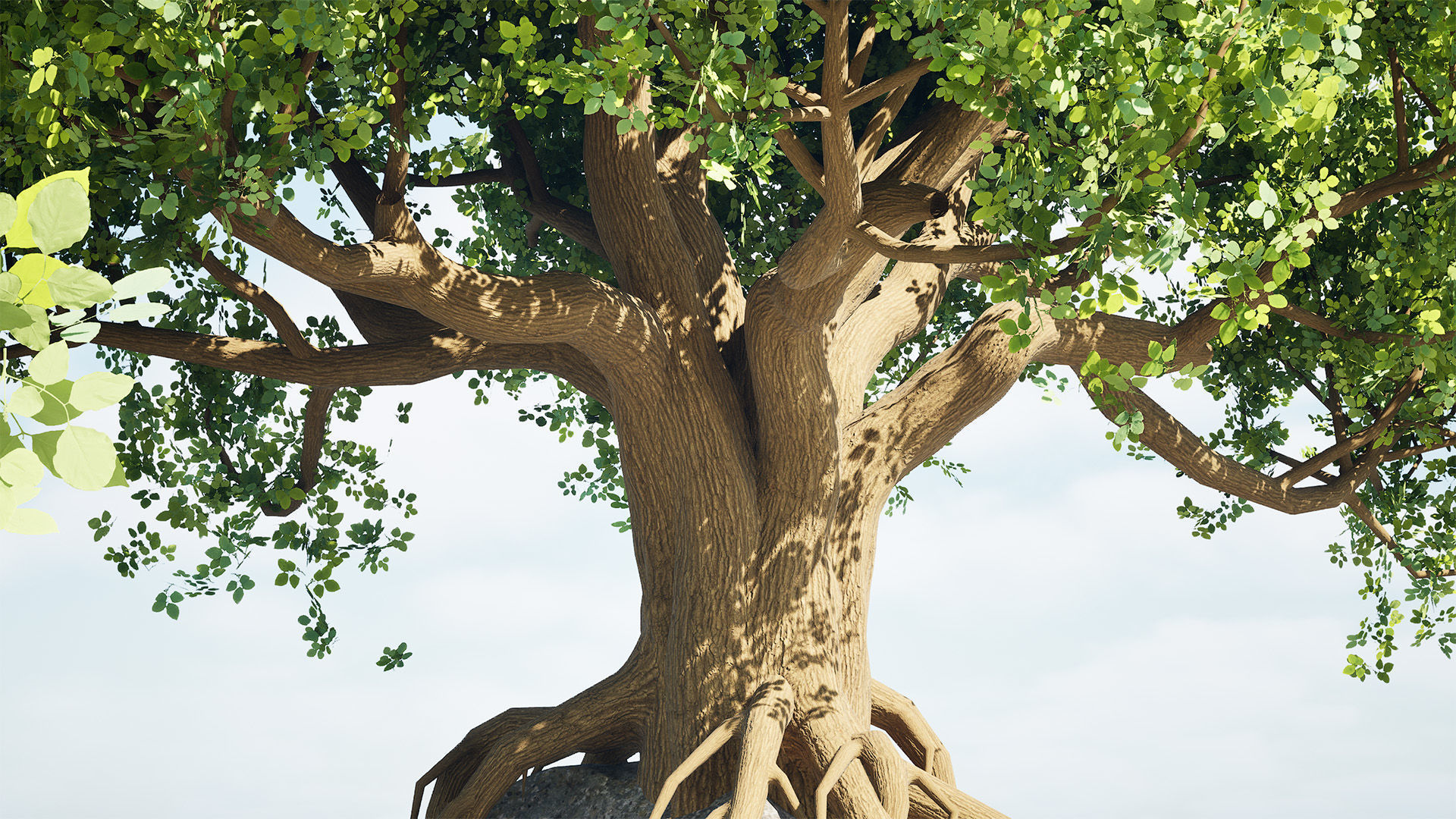 Stylized World Tree 3D Models Low-poly 3D model_15