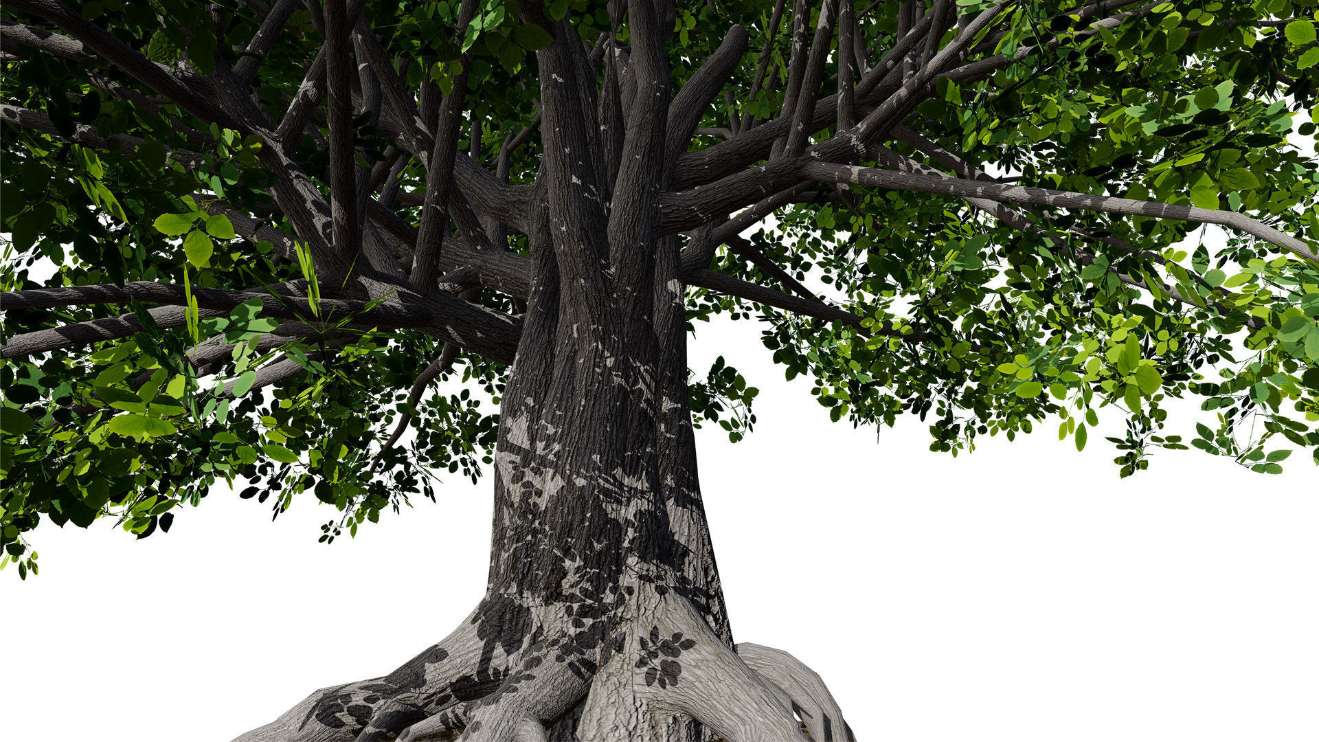 Stylized World Tree 3D Models Low-poly 3D model_3