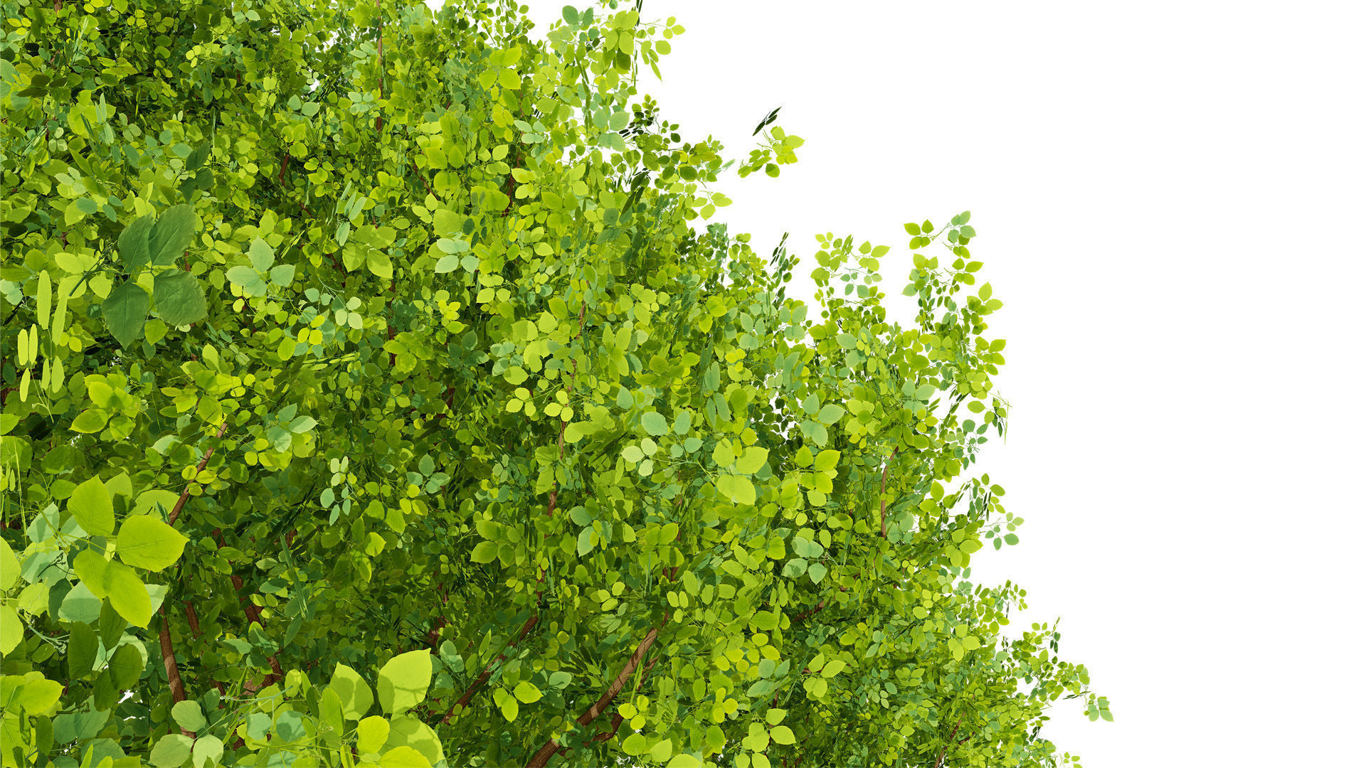 Stylized World Tree 3D Models Low-poly 3D model_10