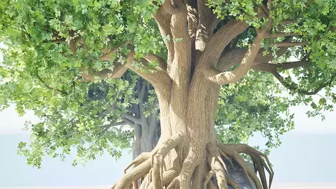 Stylized World Tree 3D Models Low-poly 3D model