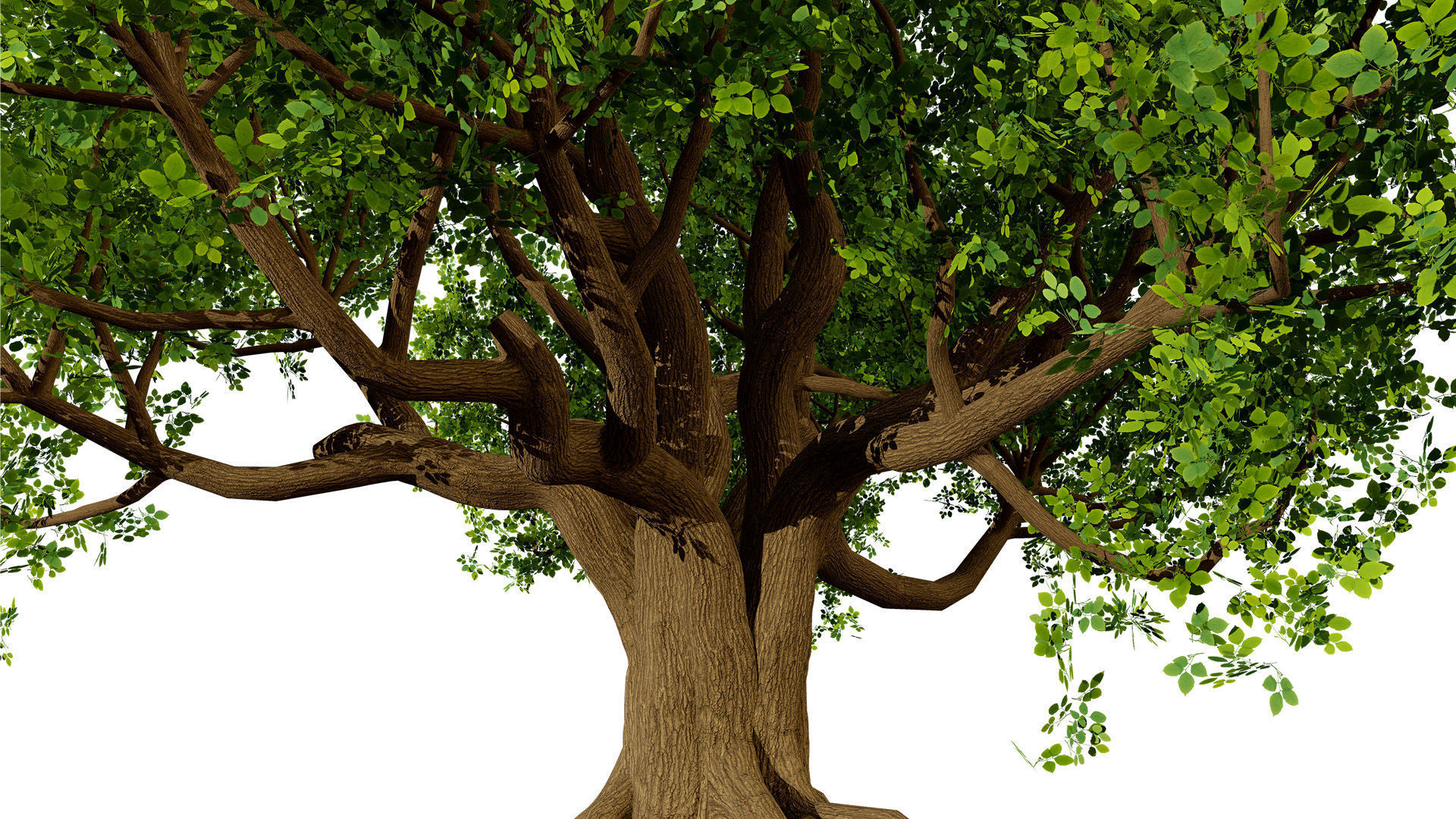 Stylized World Tree 3D Models Low-poly 3D model_12