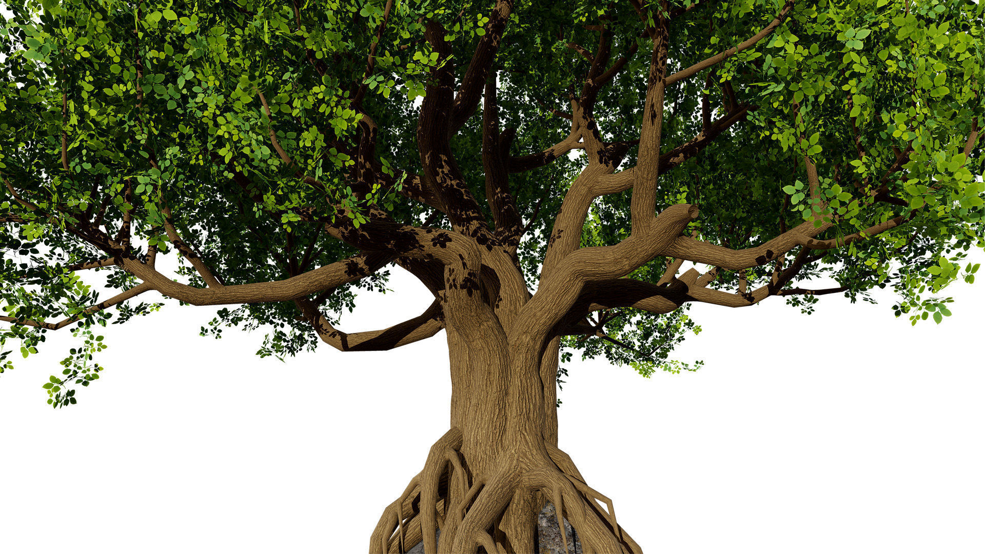 Stylized World Tree 3D Models Low-poly 3D model_7