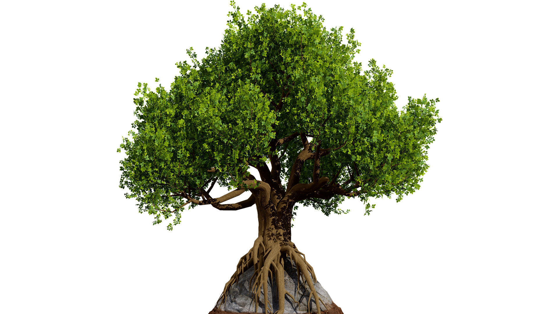 Stylized World Tree 3D Models Low-poly 3D model_11