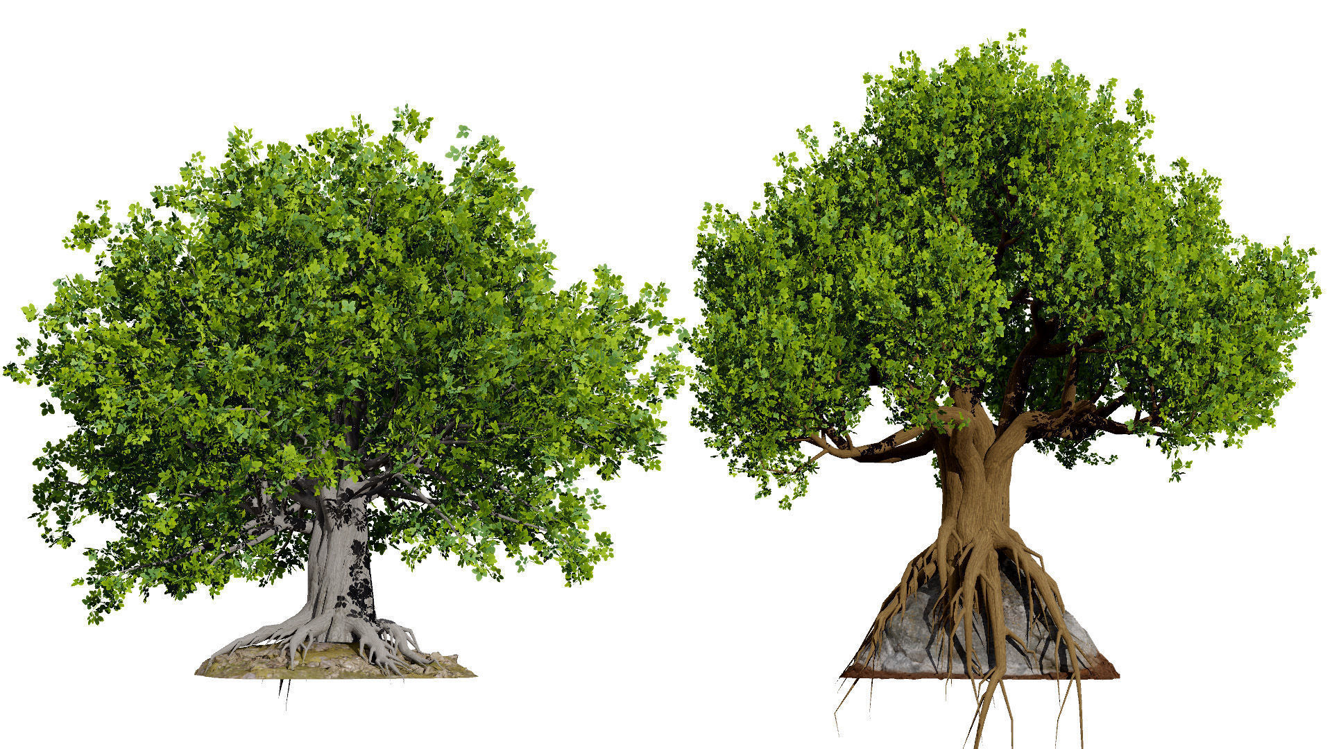 Stylized World Tree 3D Models Low-poly 3D model_5