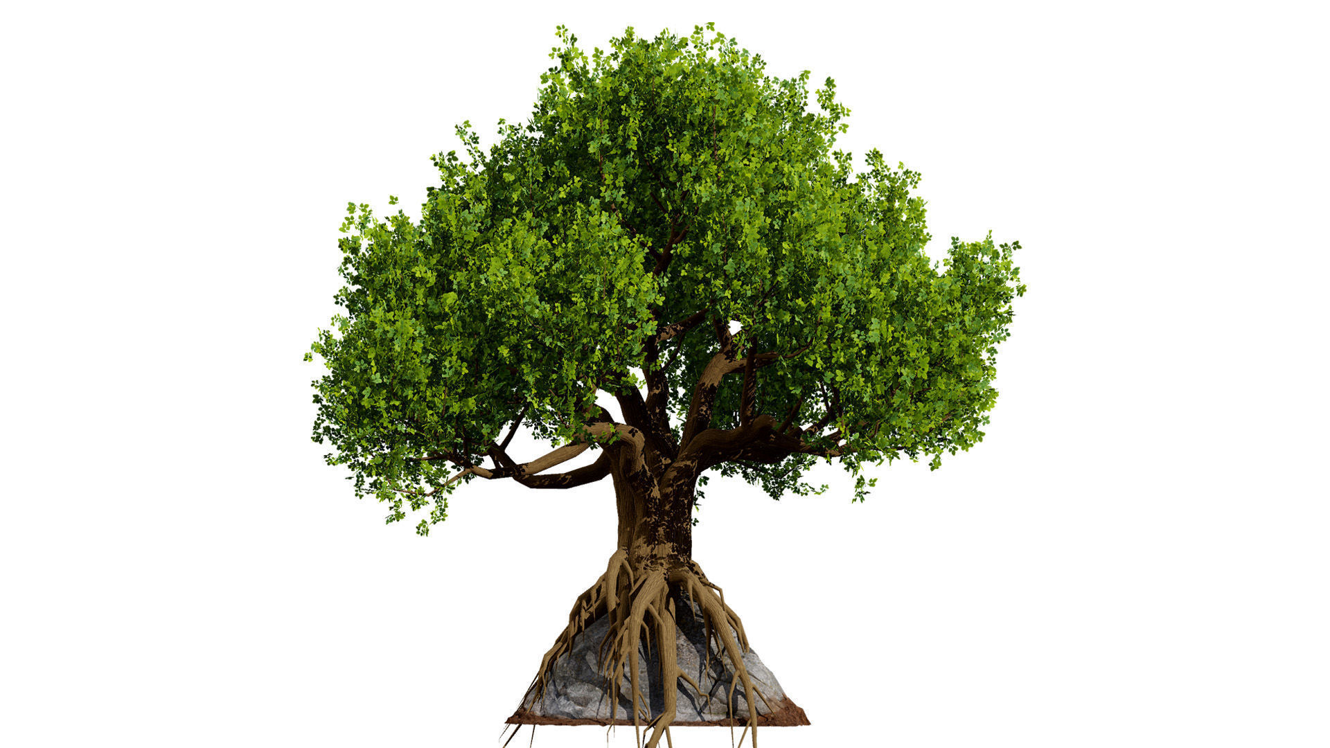 Stylized World Tree 3D Models Low-poly 3D model_6