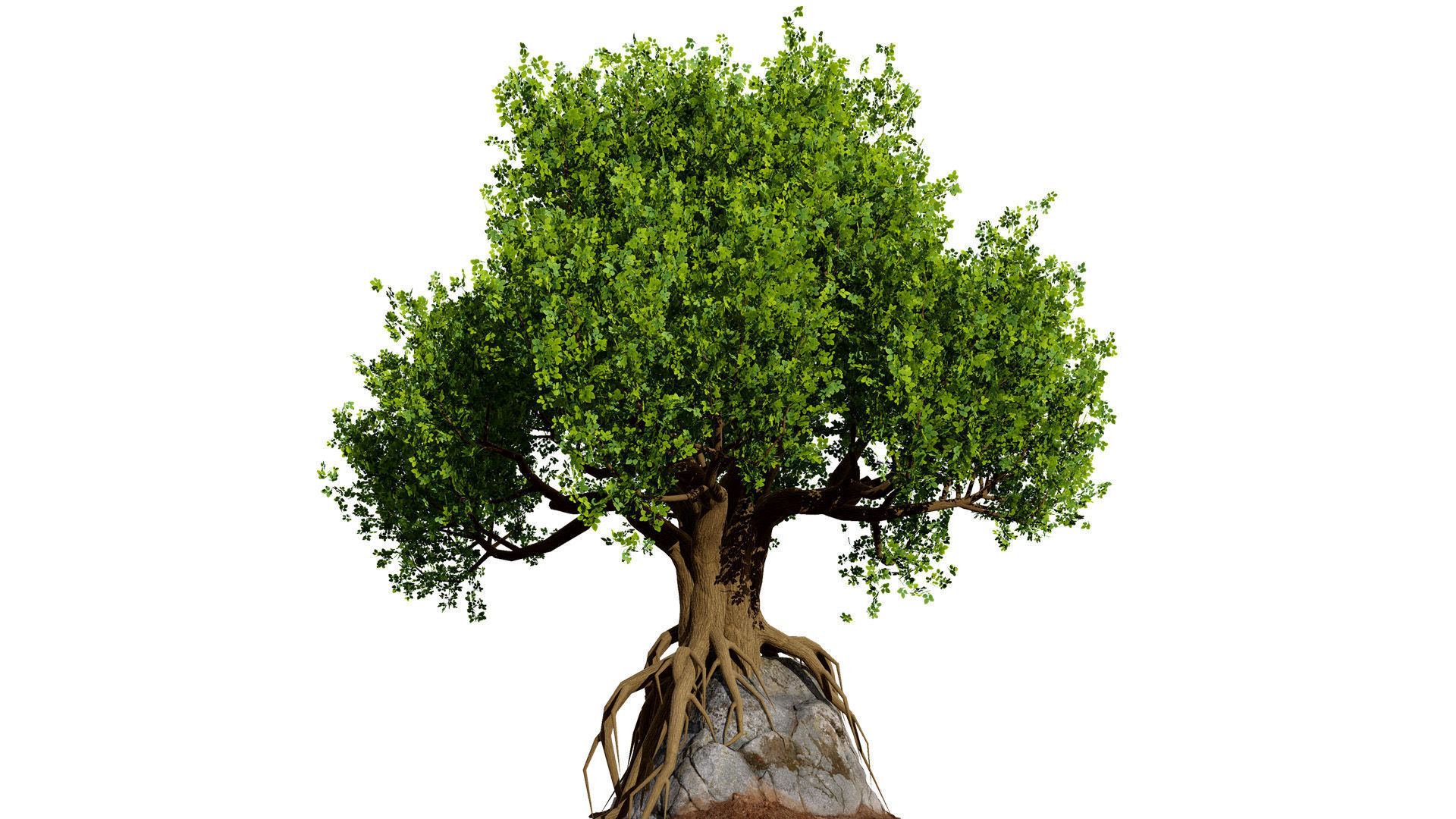 Stylized World Tree 3D Models Low-poly 3D model_9