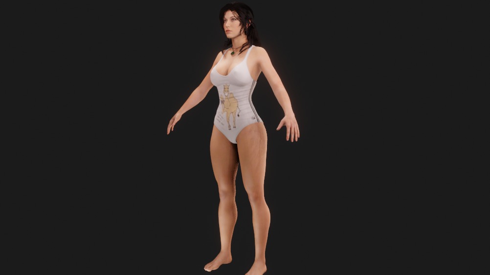 Tomb Raider  Hump Day Swimsuit 3D model_9