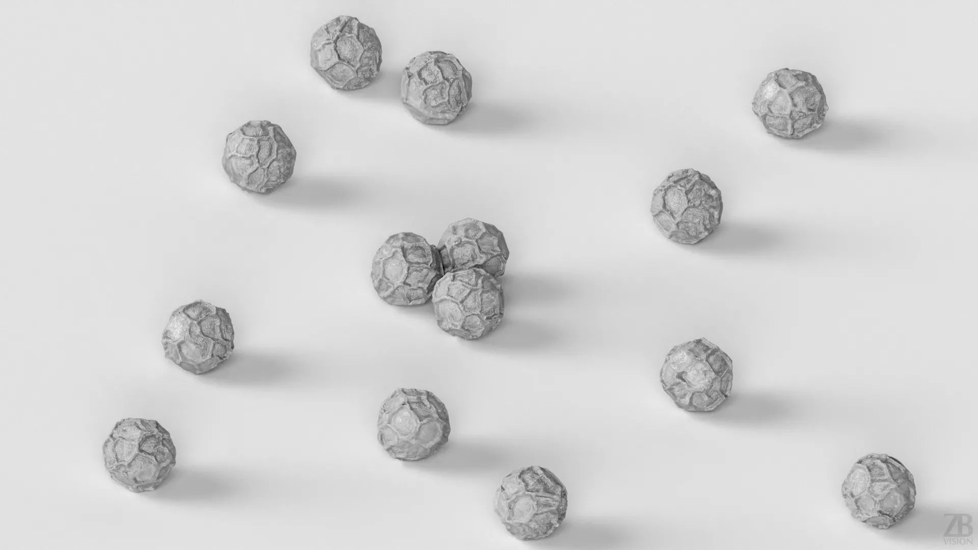 Black Pepper 3D model_3