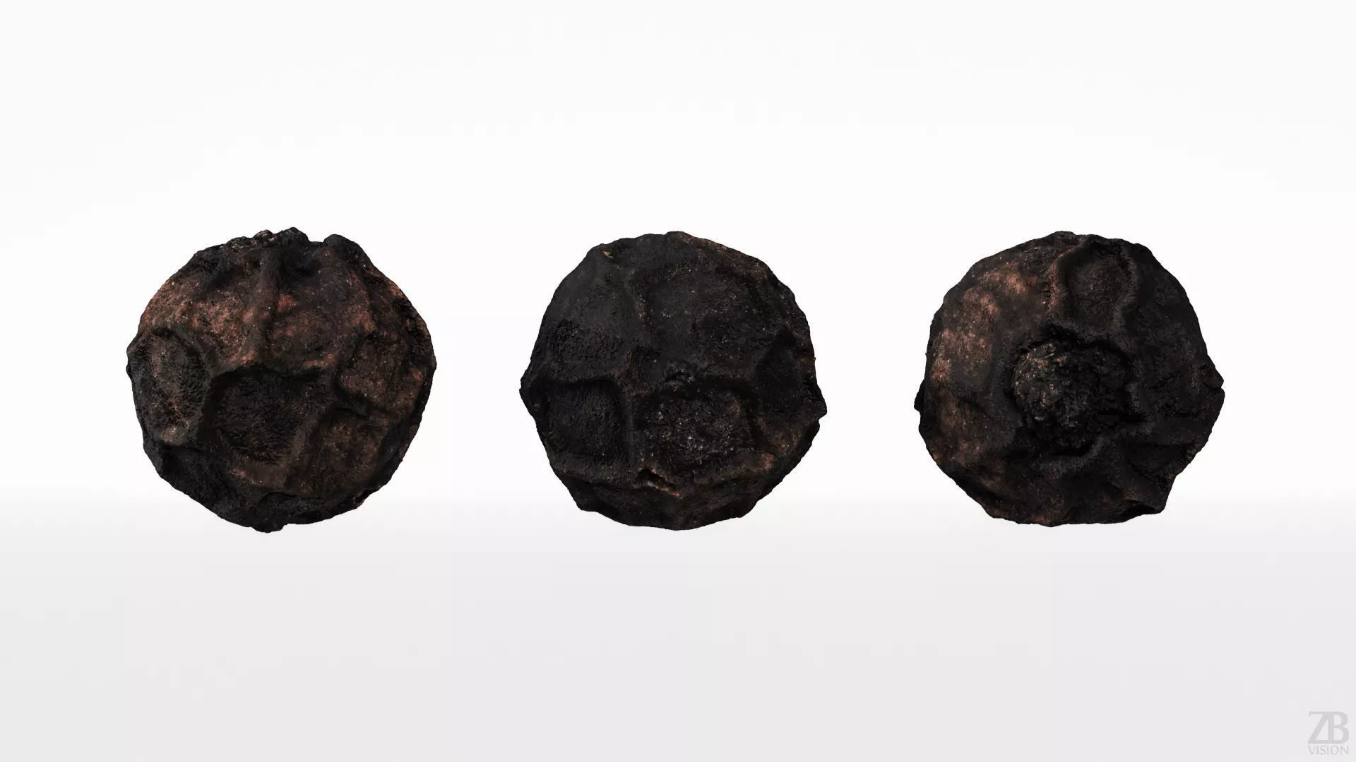 Black Pepper 3D model_4