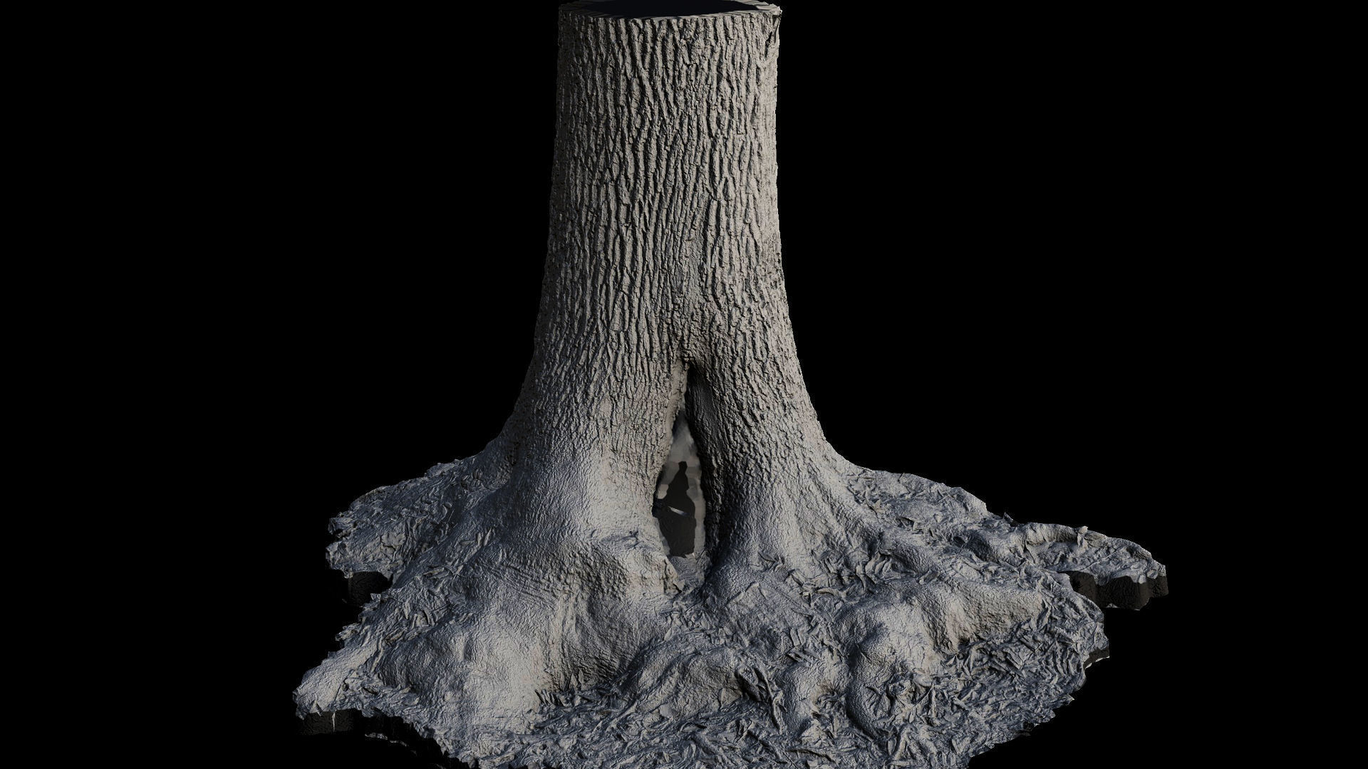 tree trunk oak wide roots ground photogrammetry Low-poly 3D model_7