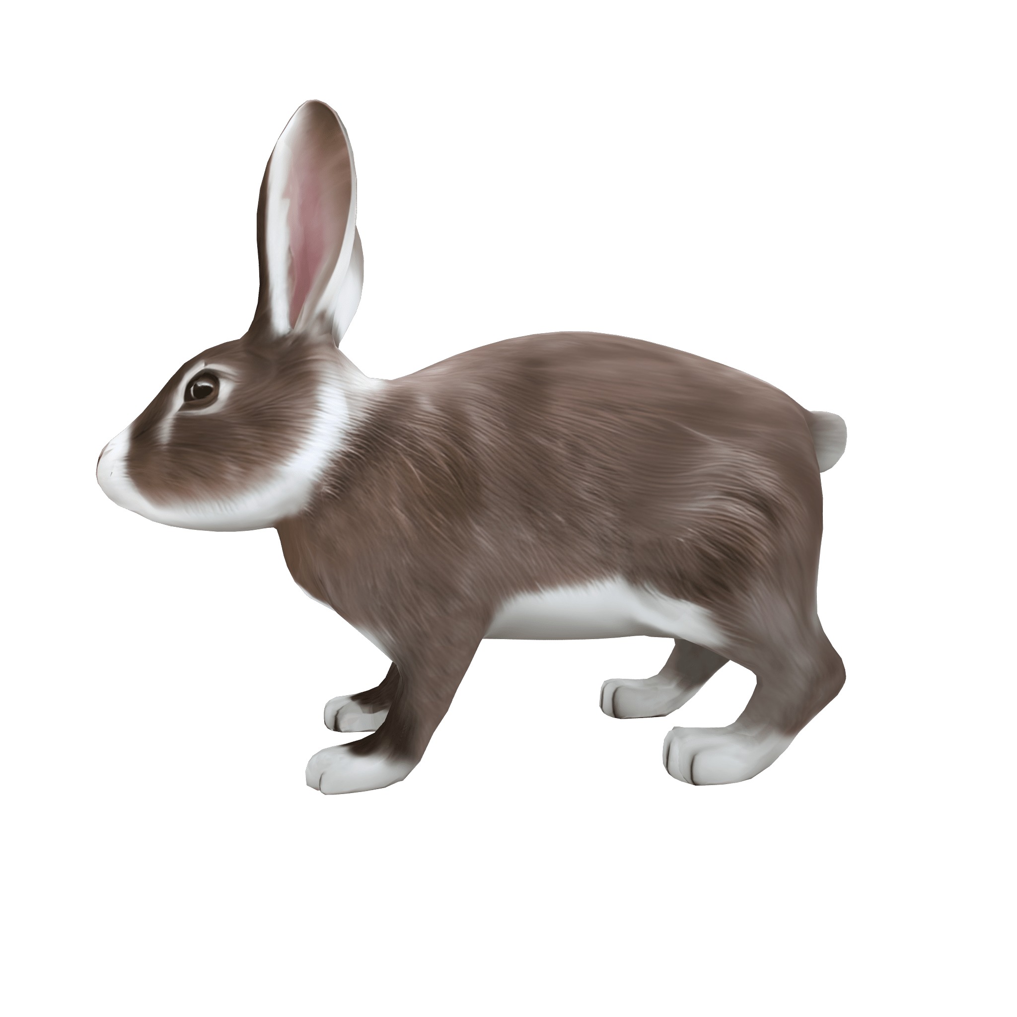 Farm Domestic Animals Bundle - 7 Set Models Low-poly 3D model_49