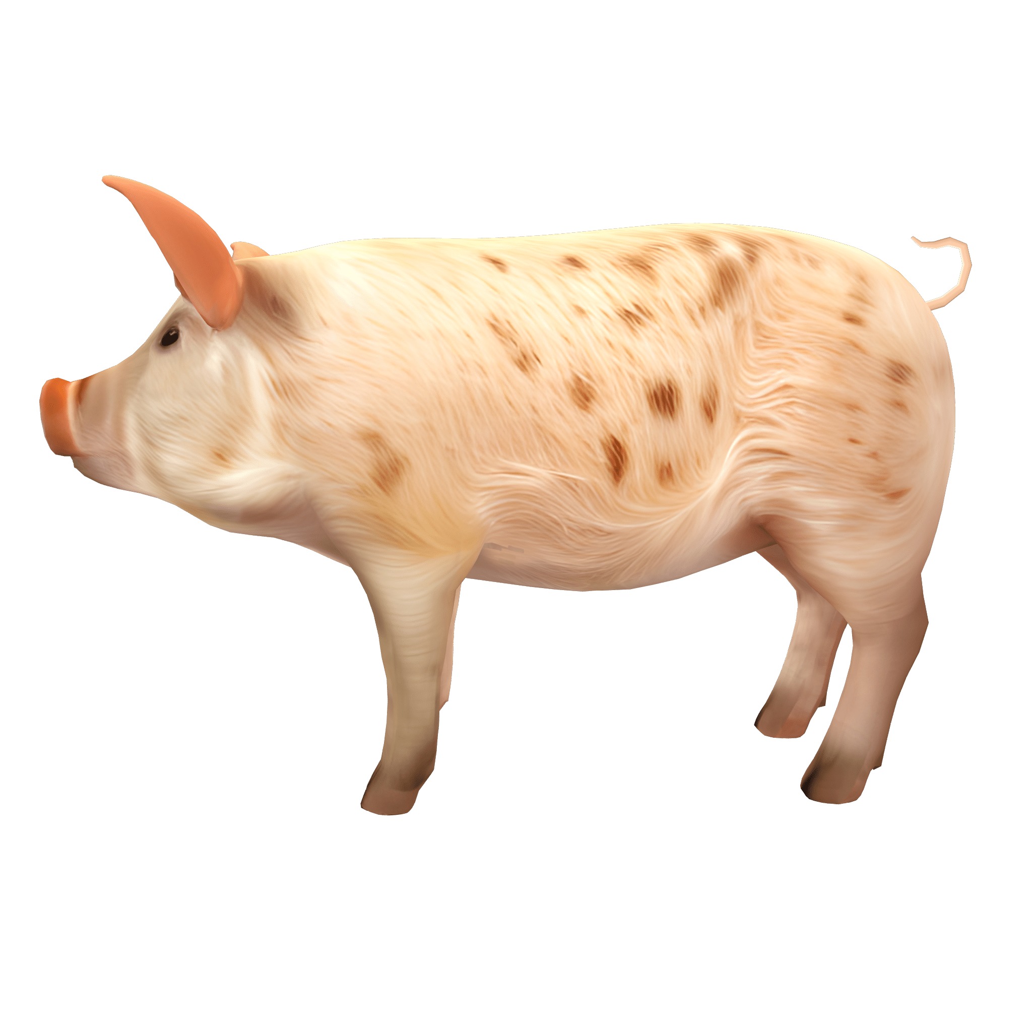 Farm Domestic Animals Bundle - 7 Set Models Low-poly 3D model_40