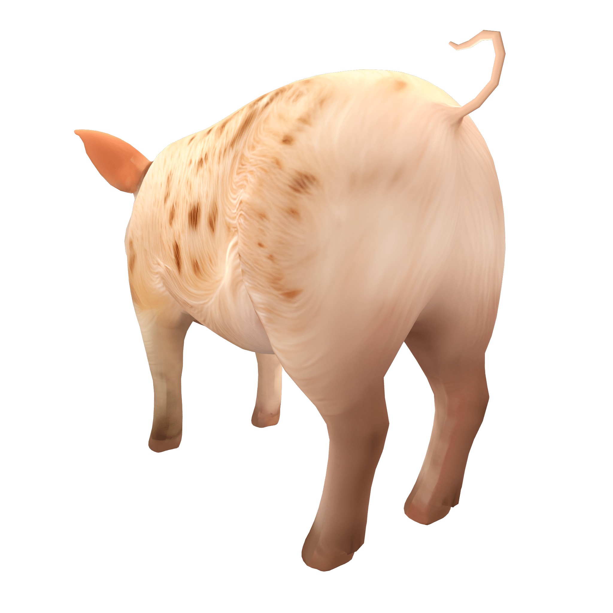 Farm Domestic Animals Bundle - 7 Set Models Low-poly 3D model_39
