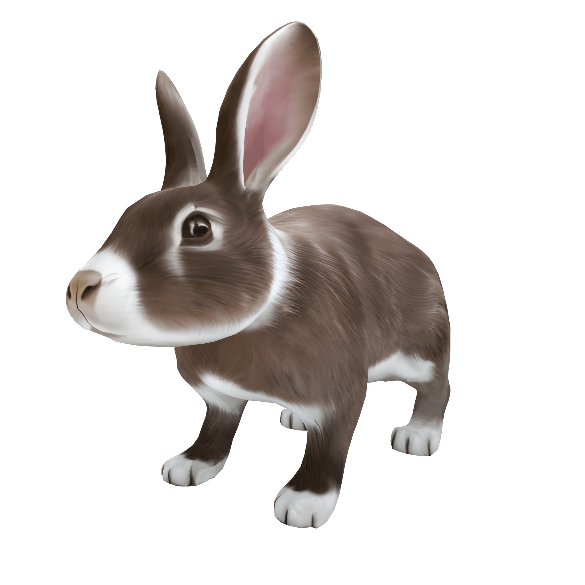 Farm Domestic Animals Bundle - 7 Set Models Low-poly 3D model_47