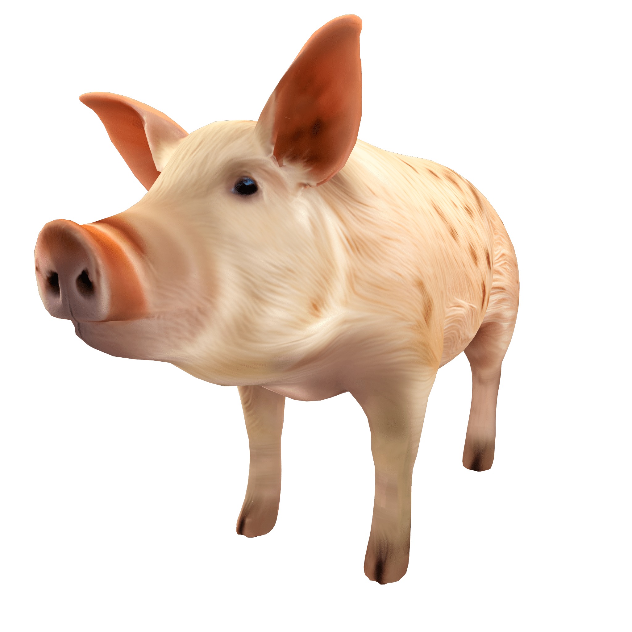 Farm Domestic Animals Bundle - 7 Set Models Low-poly 3D model_38