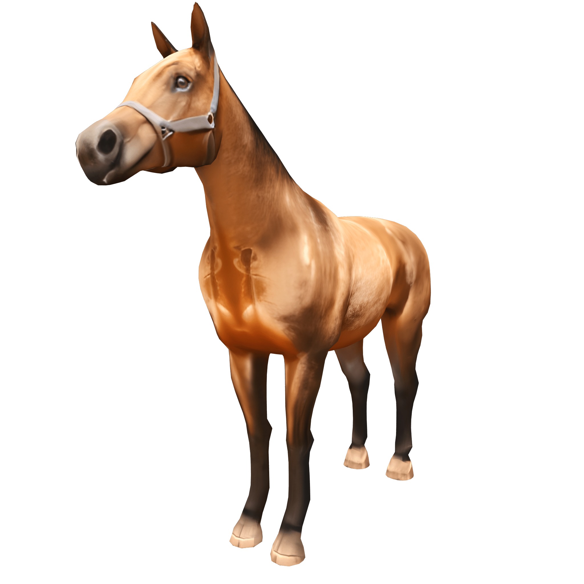 Farm Domestic Animals Bundle - 7 Set Models Low-poly 3D model_29