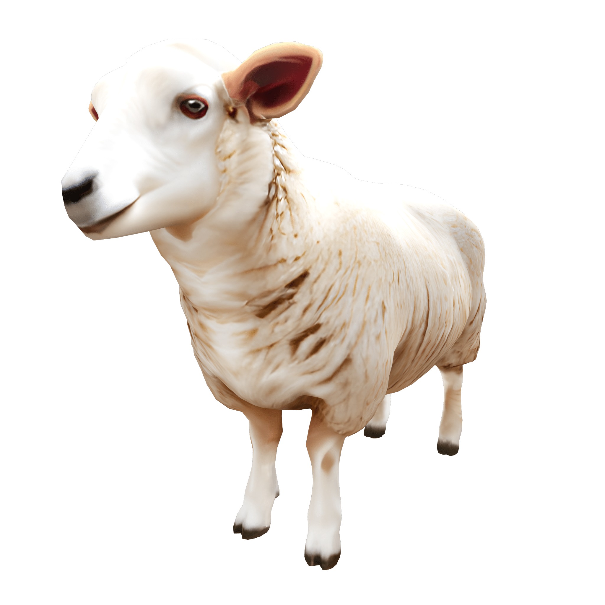 Farm Domestic Animals Bundle - 7 Set Models Low-poly 3D model_56