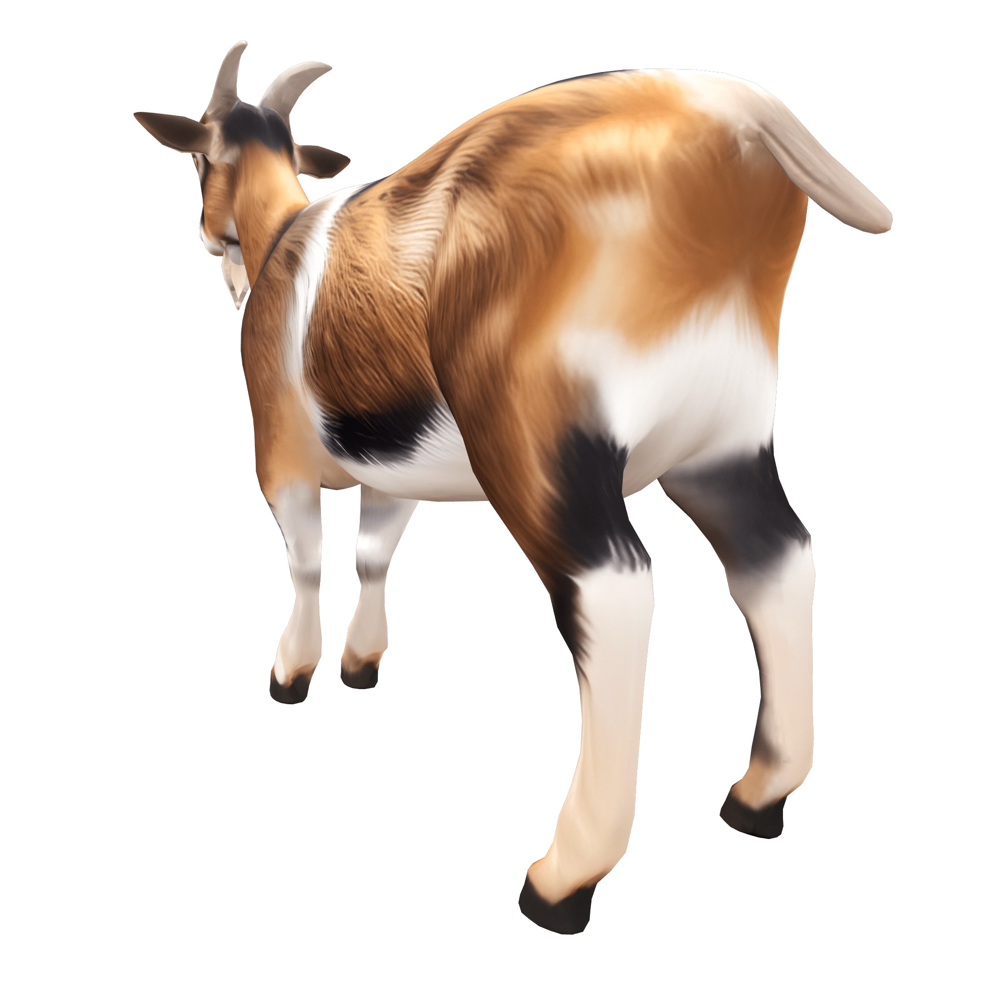 Farm Domestic Animals Bundle - 7 Set Models Low-poly 3D model_22