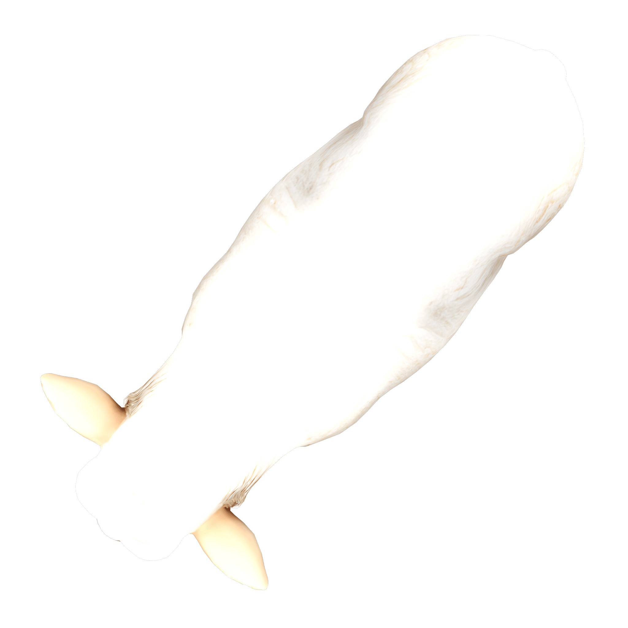 Farm Domestic Animals Bundle - 7 Set Models Low-poly 3D model_59