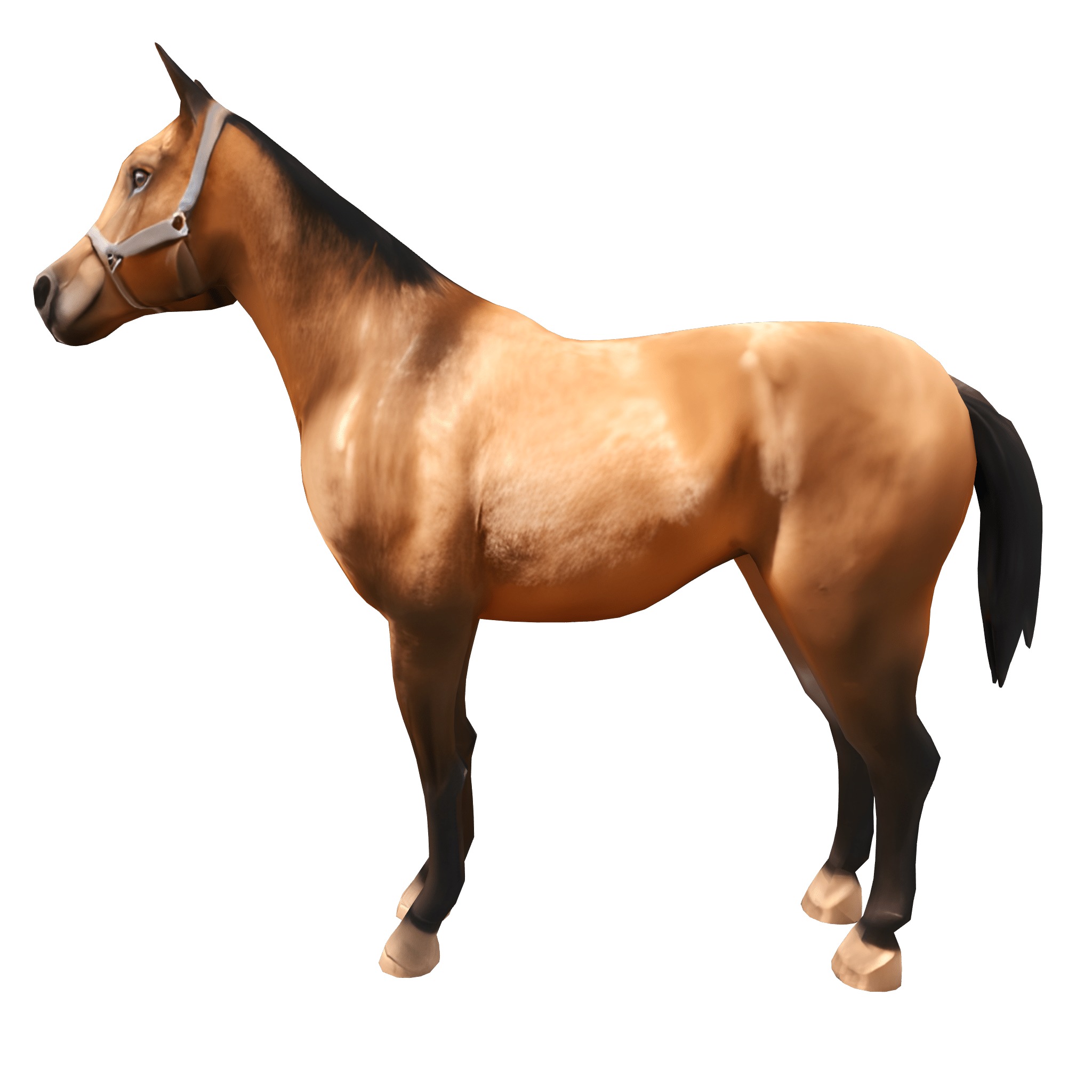 Farm Domestic Animals Bundle - 7 Set Models Low-poly 3D model_31