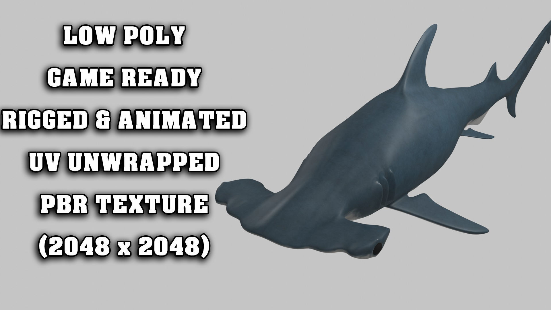 Hammer Head Shark - Game Ready - Rigged Low-poly 3D model_1