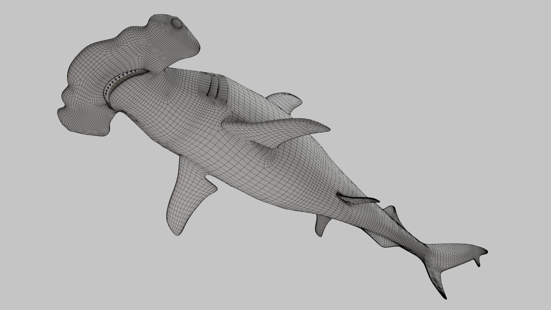 Hammer Head Shark - Game Ready - Rigged Low-poly 3D model_26
