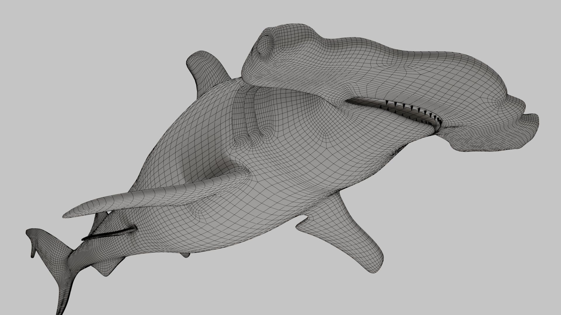 Hammer Head Shark - Game Ready - Rigged Low-poly 3D model_22