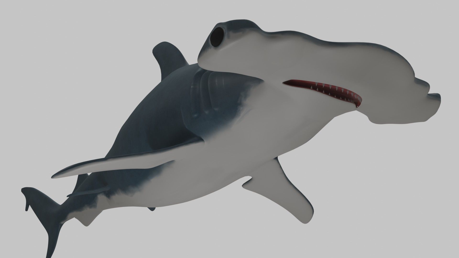 Hammer Head Shark - Game Ready - Rigged Low-poly 3D model_8