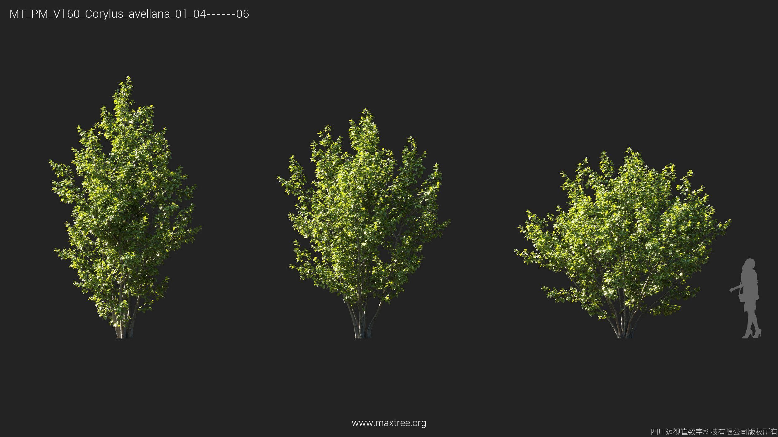Maxtree Plant Models Vol 160 - Mesh 3D model_10