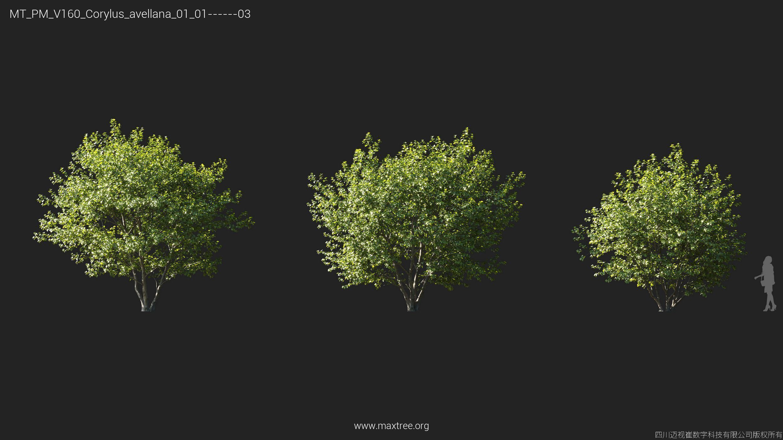 Maxtree Plant Models Vol 160 - Mesh 3D model_9