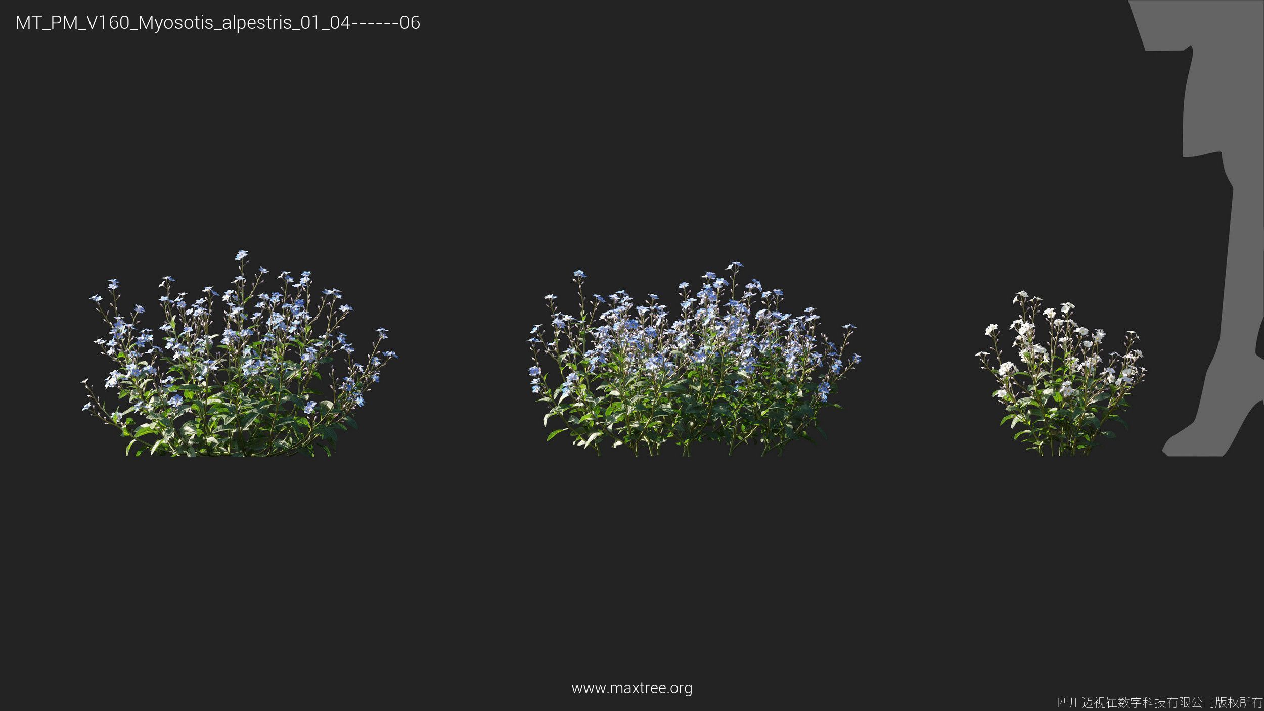 Maxtree Plant Models Vol 160 - Mesh 3D model_20