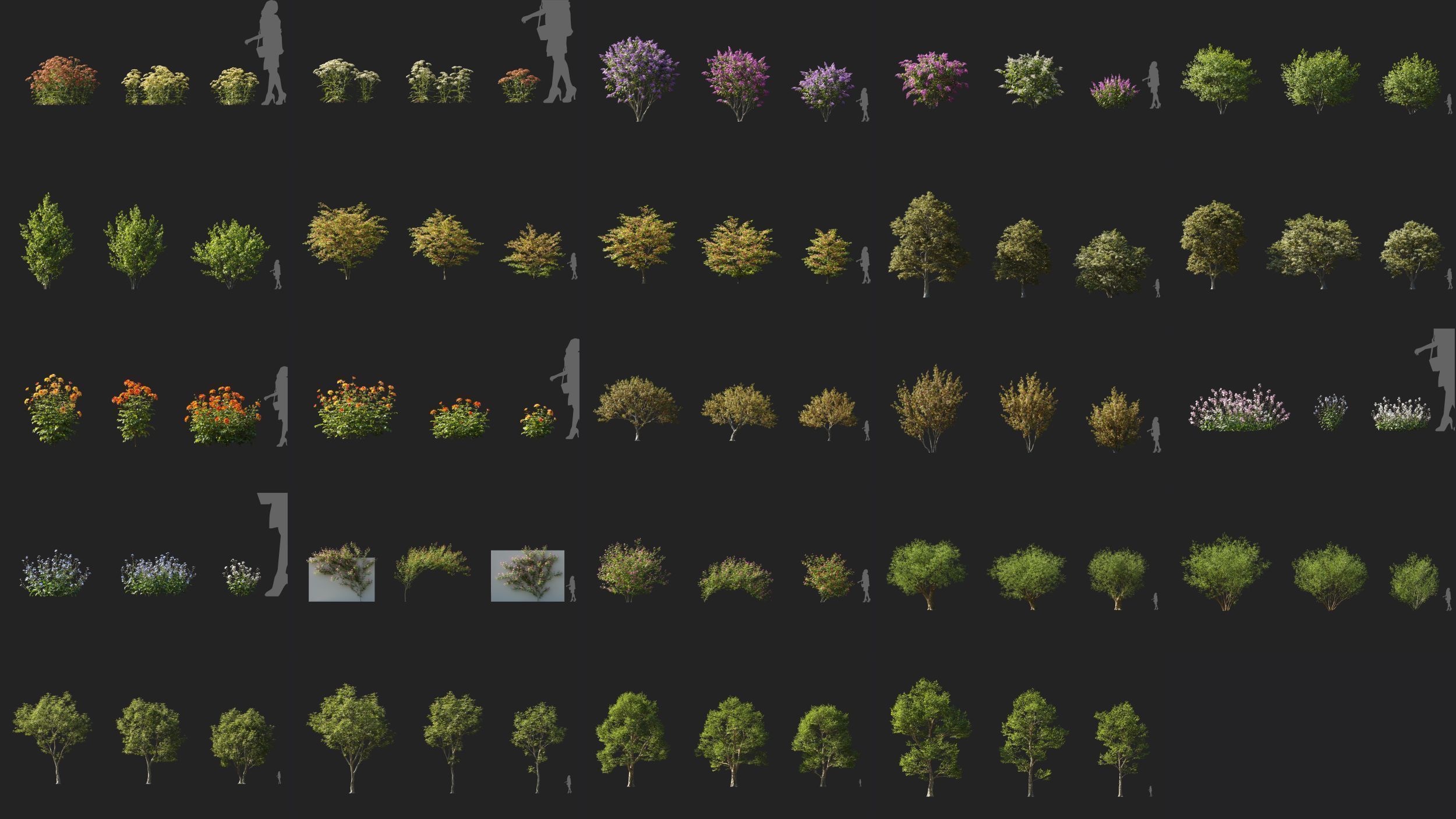 Maxtree Plant Models Vol 160 - Mesh 3D model_4