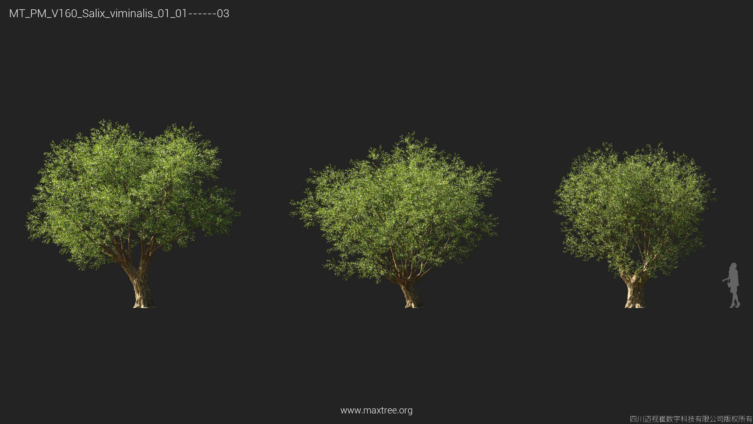 Maxtree Plant Models Vol 160 - Mesh 3D model_23