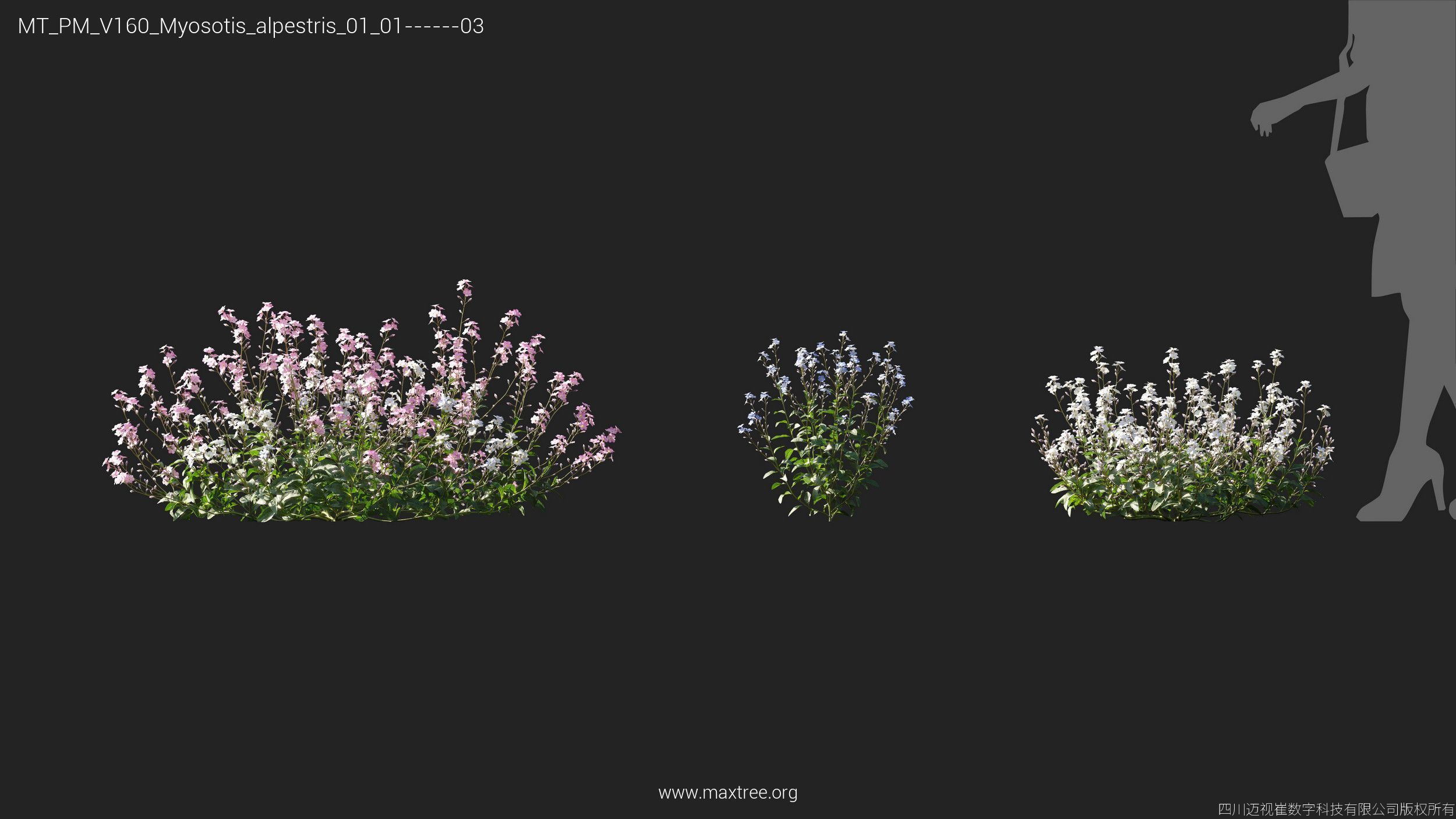 Maxtree Plant Models Vol 160 - Mesh 3D model_19
