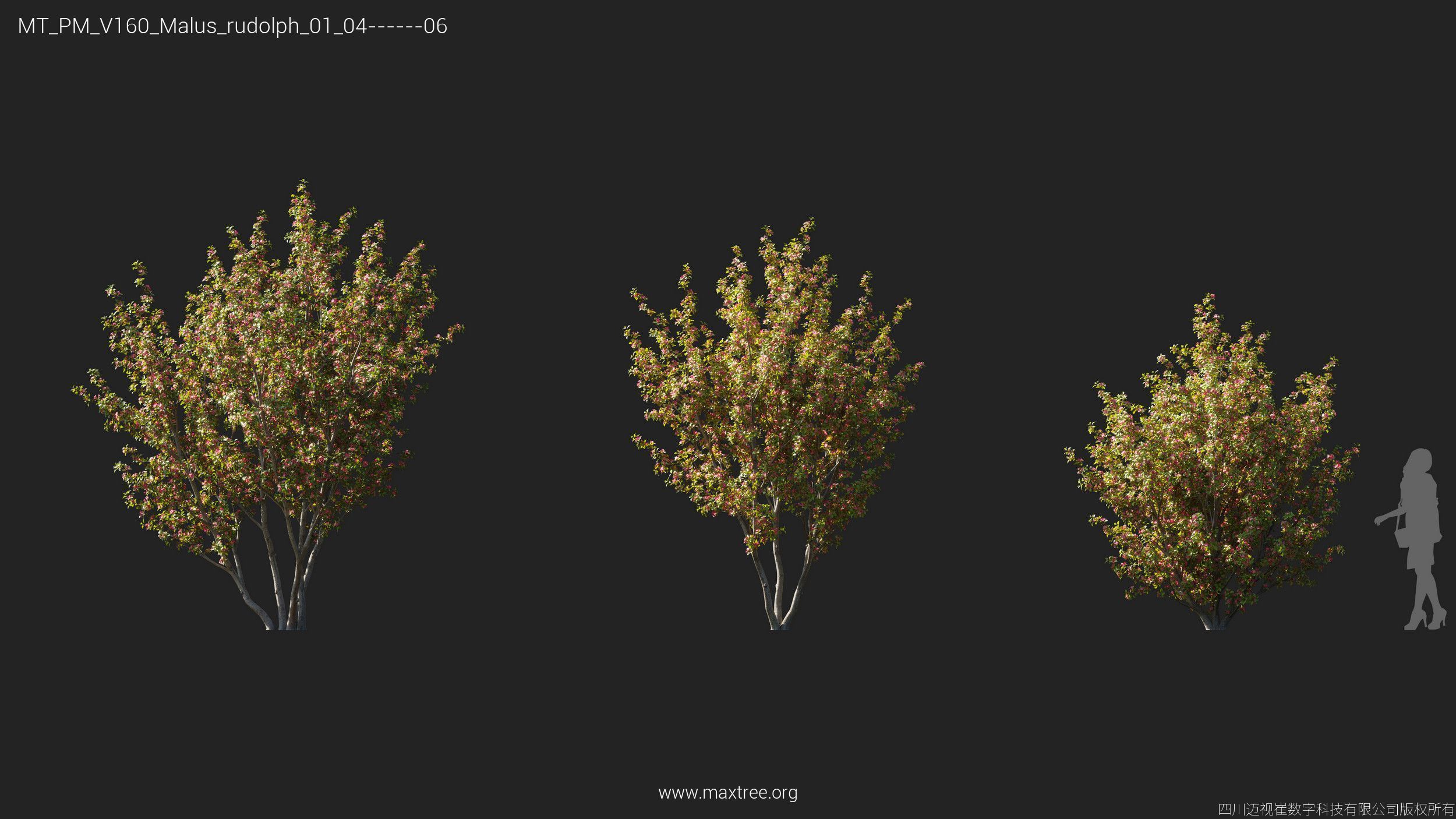 Maxtree Plant Models Vol 160 - Mesh 3D model_18
